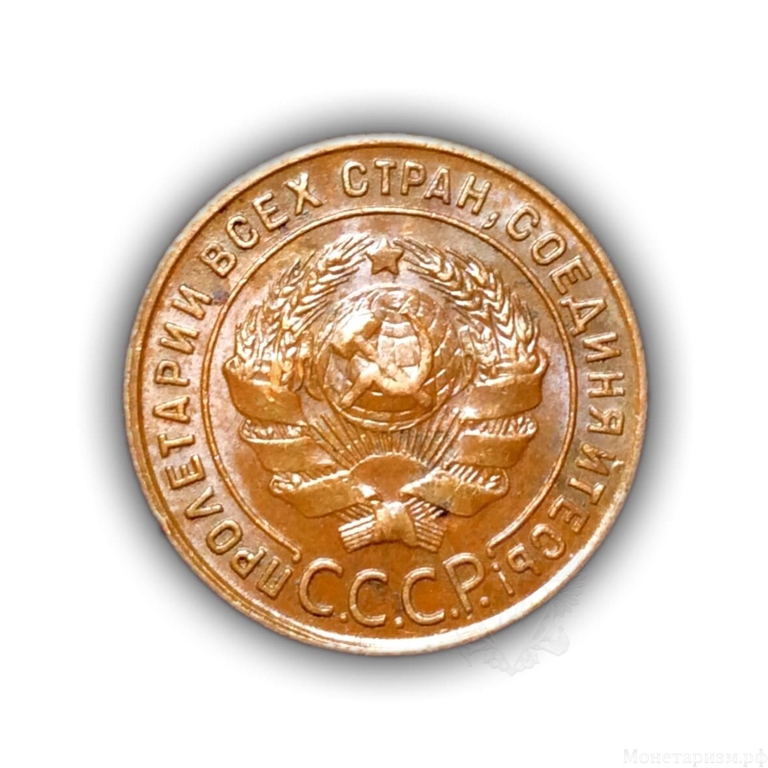 1 копейка 1924 год СССР.XF.Погодовка.