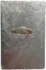 Знак Участник выставки НТТМ в 1974 году.СССР.Большой.